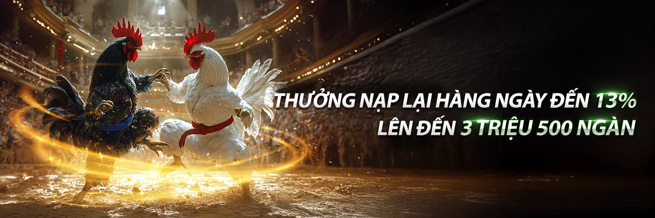 Đá gà trực tuyến sôi động tại 555win